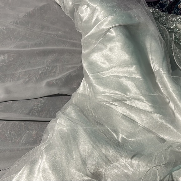 Silver Dama/Quince/Fancy Ball dress - Picture 9 of 10